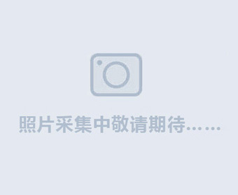 制粒機陶瓷襯板的性能